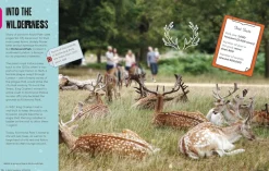 Books|Souvenirs|A Kid's Guide to London