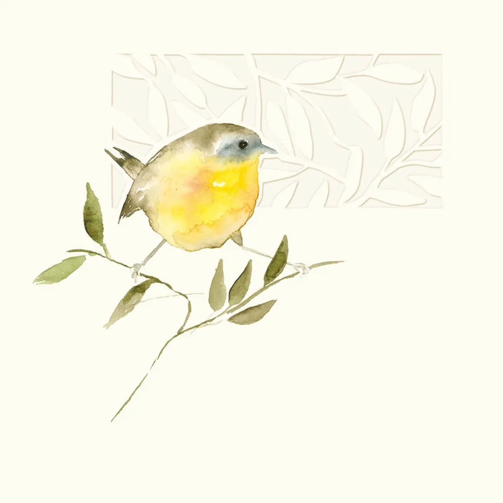 Greeting Cards|A Ray of Sunshine Greeting Card