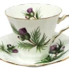 Teacups & Saucers|Adderley Ceramics Thistle Cup & Saucer with Gold Trim