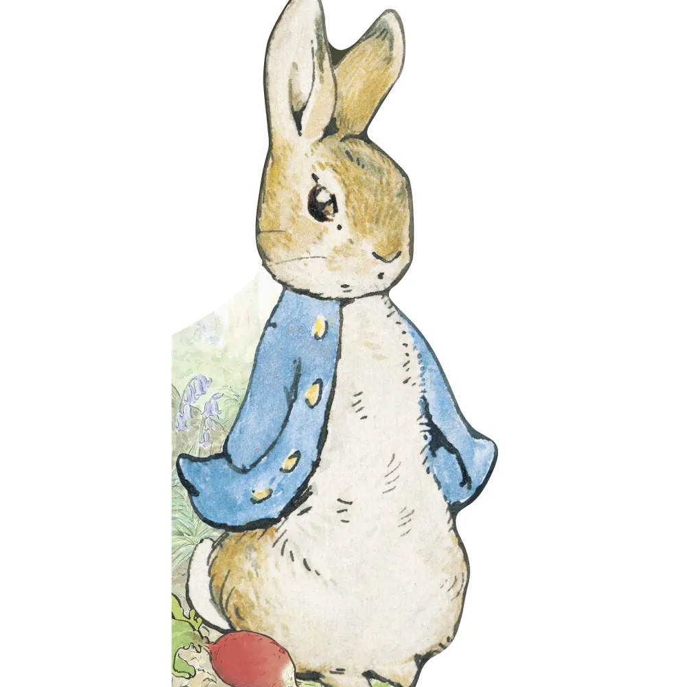 Beatrix Potter|Toys|All about Peter Board Book by Beatrix Potter