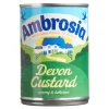 Desserts & Baking|Ambrosia Devon Custard