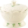 Belleek Home Accents|Belleek Pottery|Tara Gift Box