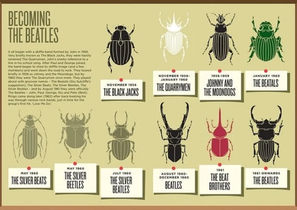 Books|Cultural Icons|Biographic The Beatles