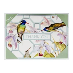 Caspari Boxed Cards|Hummingbird Trellis Thank You Boxed Cards