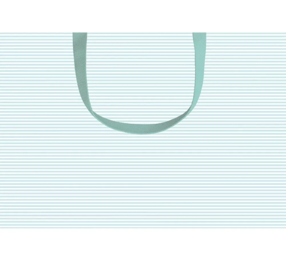 Caspari Gift Bags|Mini Stripe Robin's Egg Medium Gift Bag