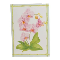 Caspari Boxed Cards|Orchid Conservatory Thank You Boxed Cards
