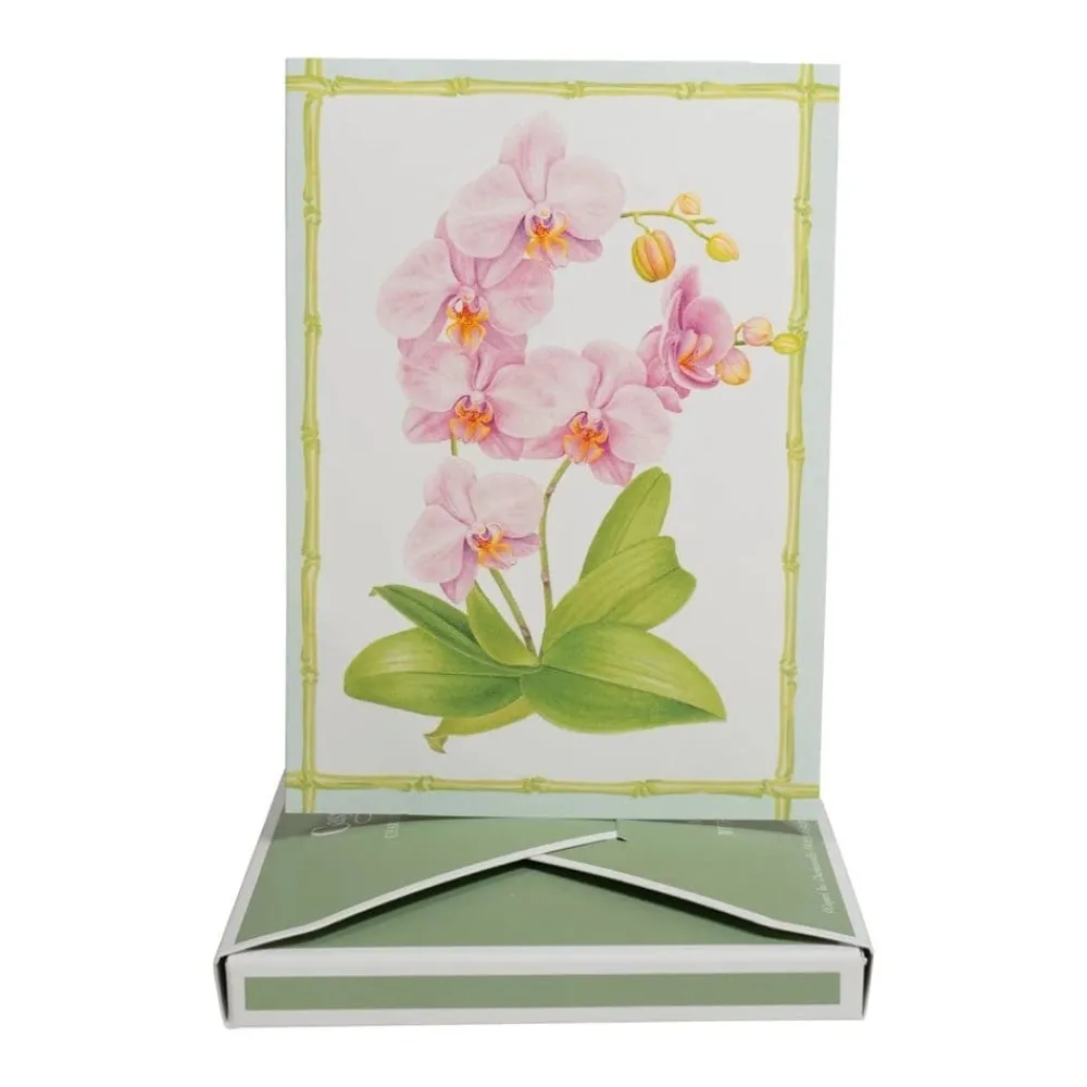 Caspari Boxed Cards|Orchid Conservatory Thank You Boxed Cards
