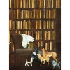 Caspari Boxed Cards|The Library Set of 8 Boxed Notecards