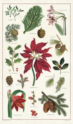 Tea Towels|Christmas Botanicals Tea Towel
