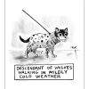 Greeting Cards|Descendant of Wolves Greeting Card