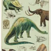 Greeting Cards|Dinosaurs Card