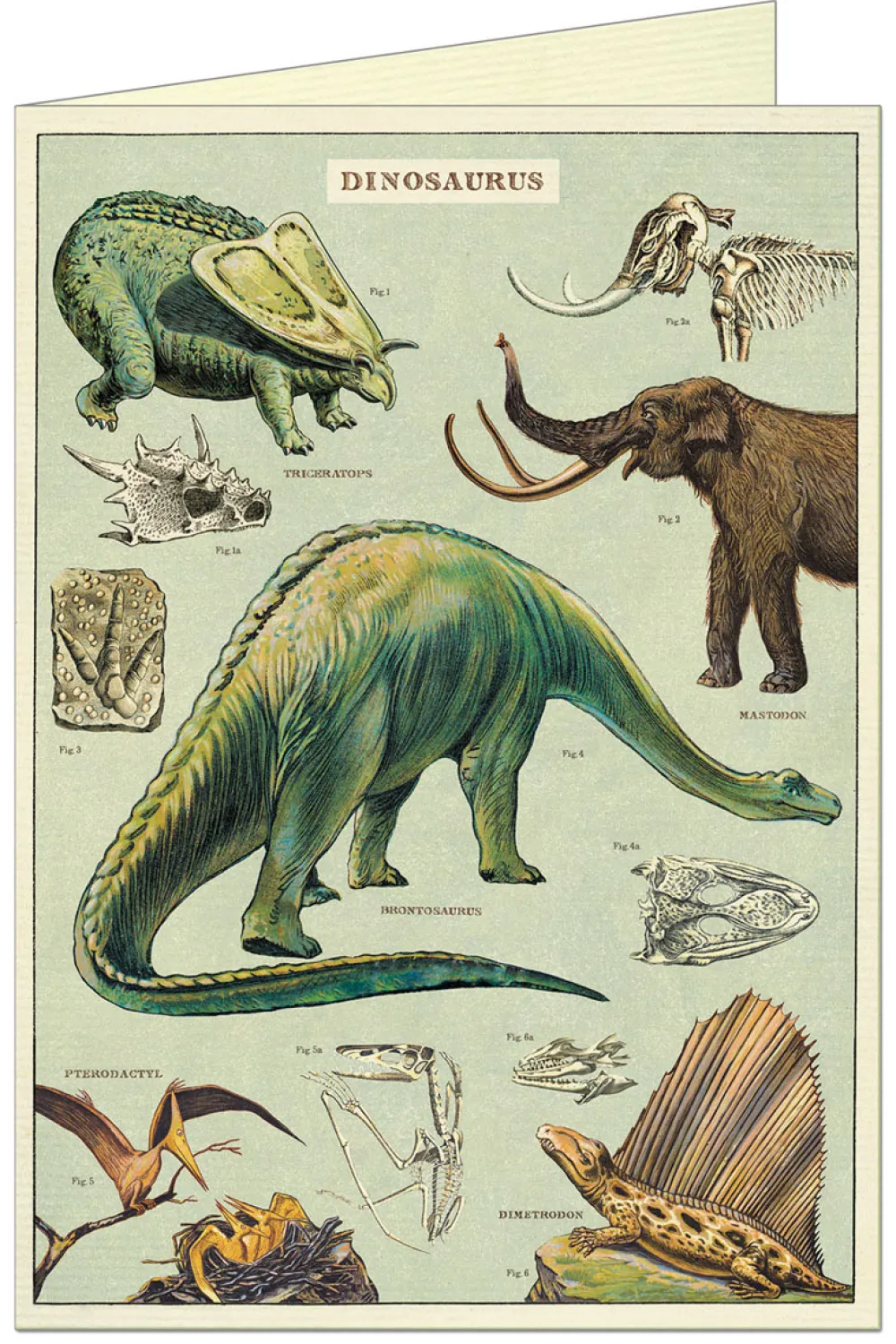 Greeting Cards|Dinosaurs Card