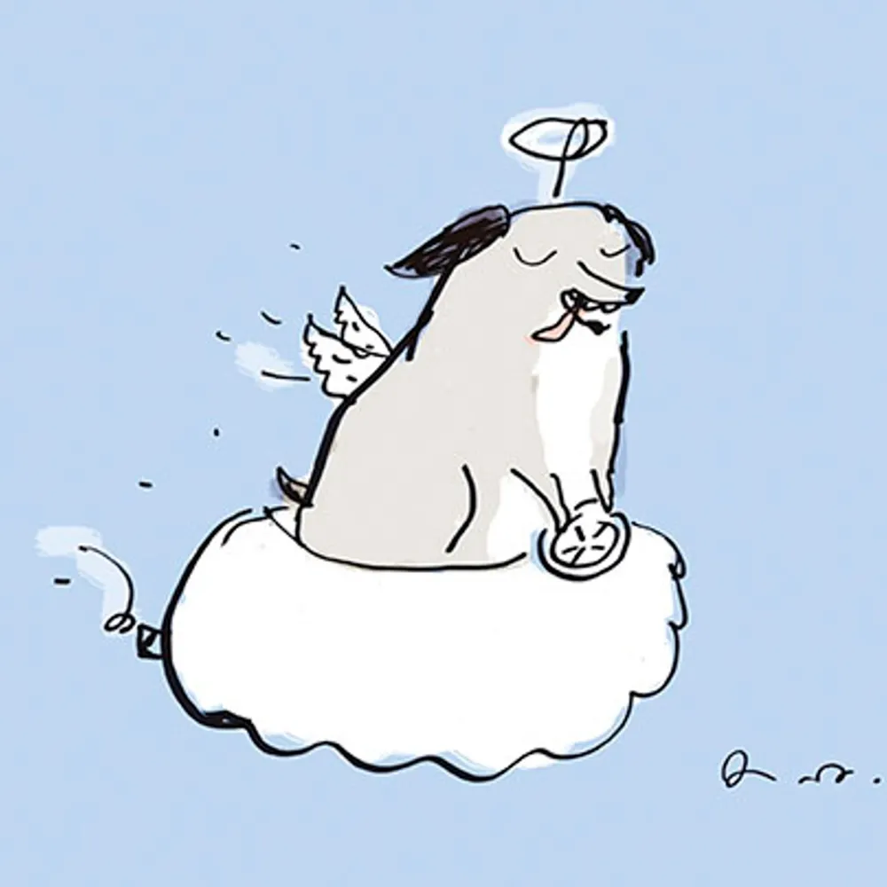 Greeting Cards|Dog Heaven Pet Sympathy Card