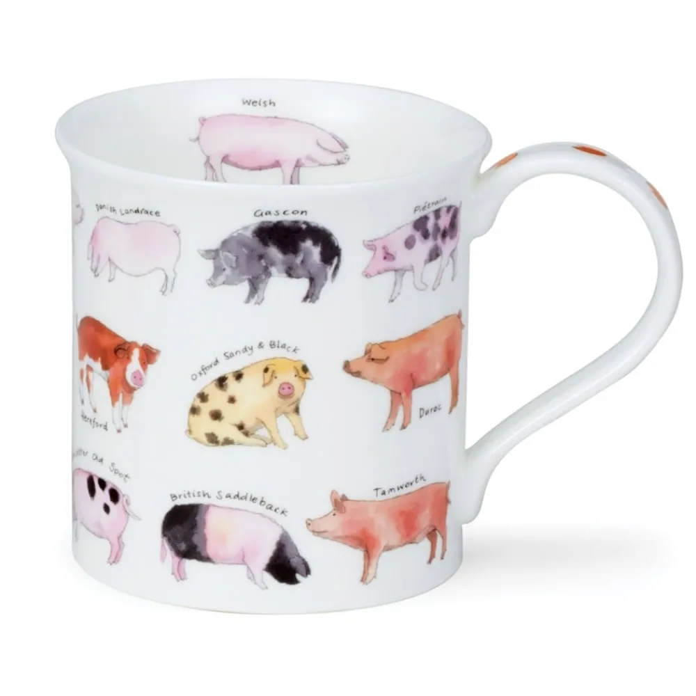 Dunoon Shape: Bute|Bute Animal Breeds Pig Mug