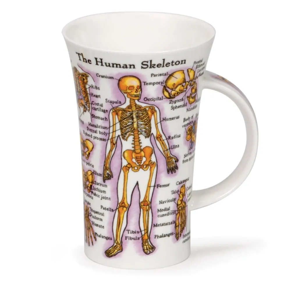 Dunoon Shape: Glencoe|Glencoe Human Body Mug