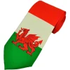 Ties|Flag of Wales Red Dragon Tie