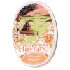 Sweets|Flavigny Orange Blossom Tin