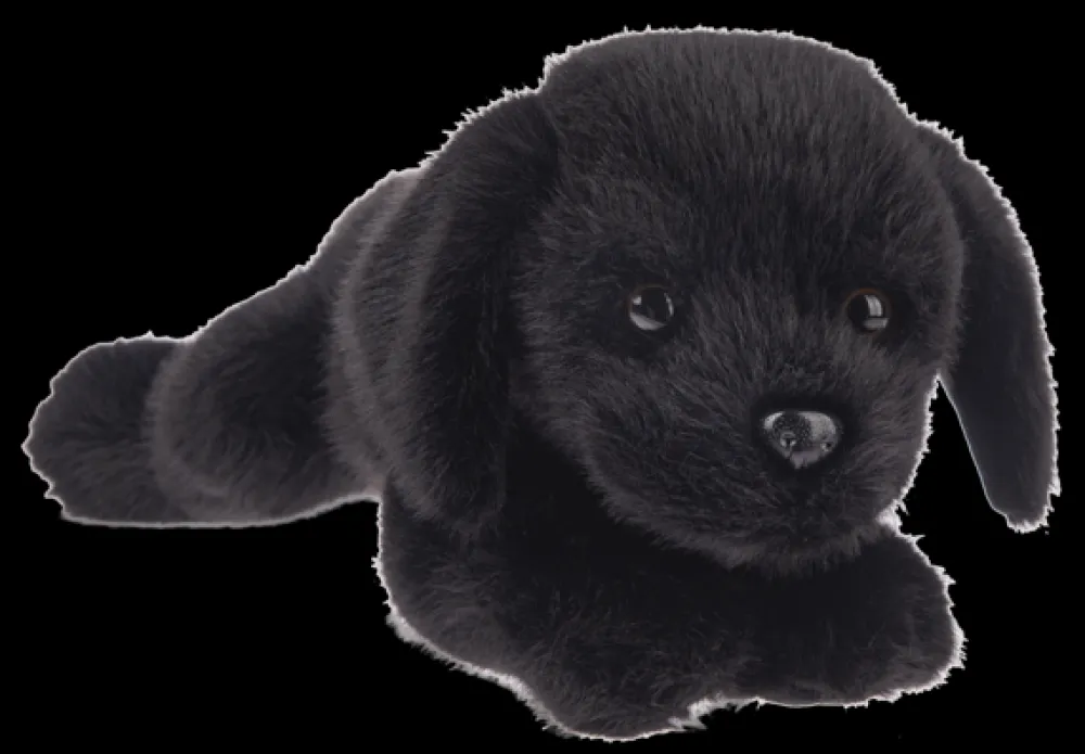 GANZ Soft Toys|Toys|Biscuit Dog Black