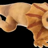 GANZ Soft Toys|Toys|Frill Neck Lizard