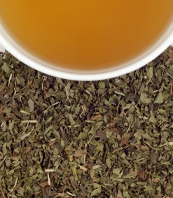 Harney & Sons Harney & Sons|Peppermint Herbal 20s