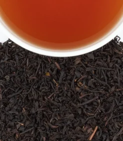 Harney & Sons Harney & Sons|Black Currant 50s