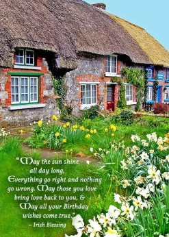 Greeting Cards|Irish Birthday Wishes Card