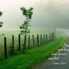 Greeting Cards|James Joyce Sympathy Card