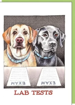 Greeting Cards|Lab Tests Greeting Card