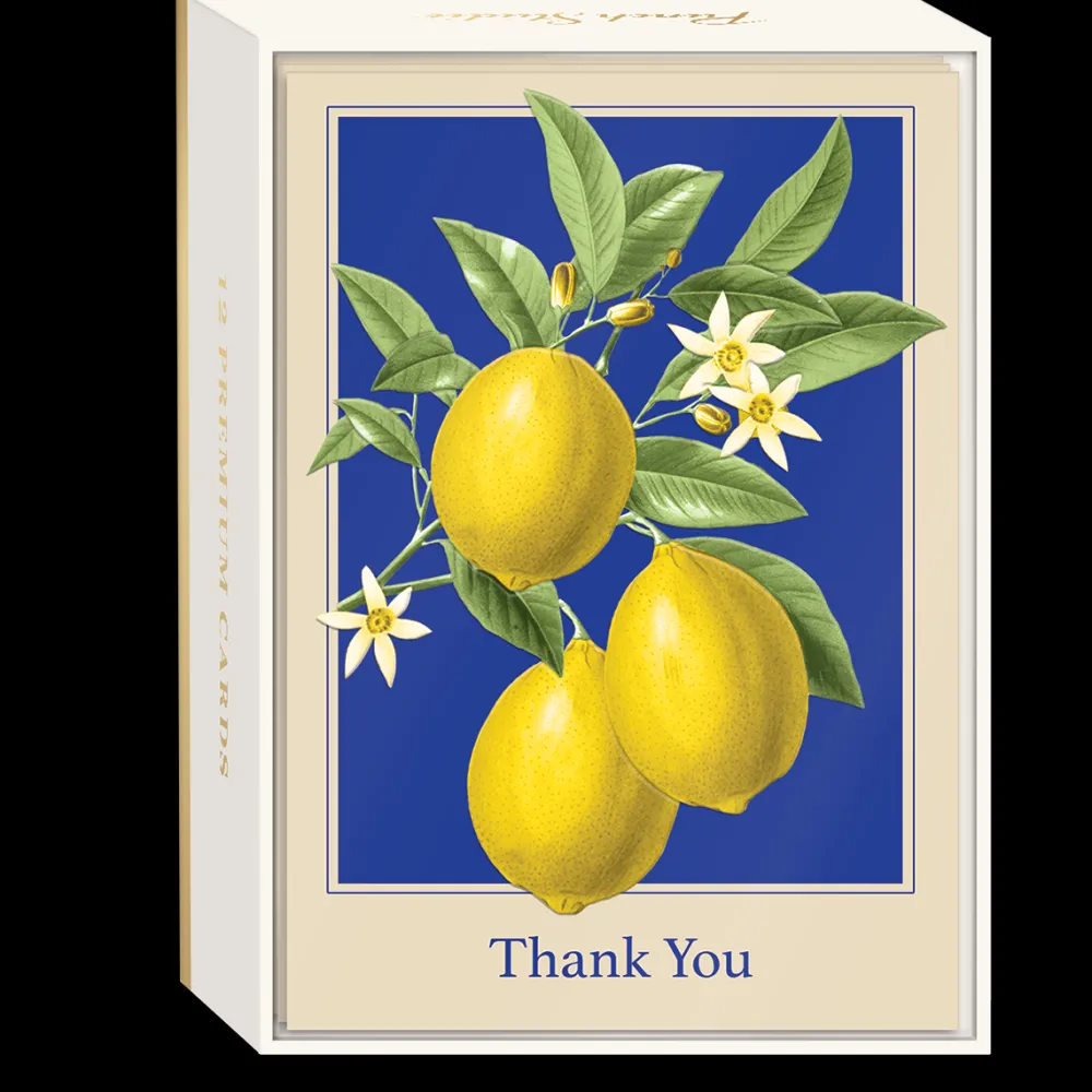 Boxed Cards|Lemons Boxed Thank You Cards