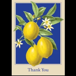 Boxed Cards|Lemons Boxed Thank You Cards