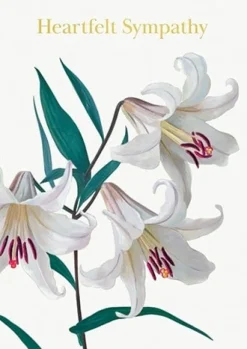 Greeting Cards|Lilies Sympathy Card