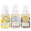 Michel Design Works Liquid Hand Soap|The Classics Mini Foaming Hand Soap Set