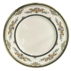 Vintage Minton Stanwood|Minton Stanwood Dinner Plate