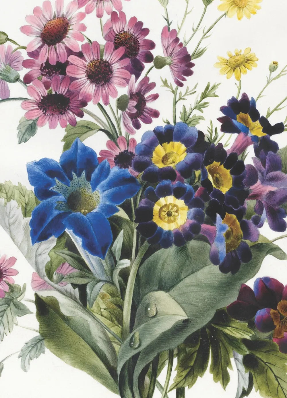 Greeting Cards|Mixed Flowers Greeting Card