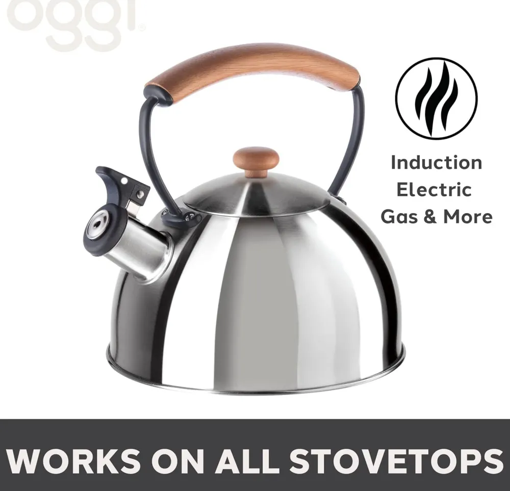 Tea Kettles|Oggi Stainless Steel Whistling Tea Kettle (Stainless Steel)