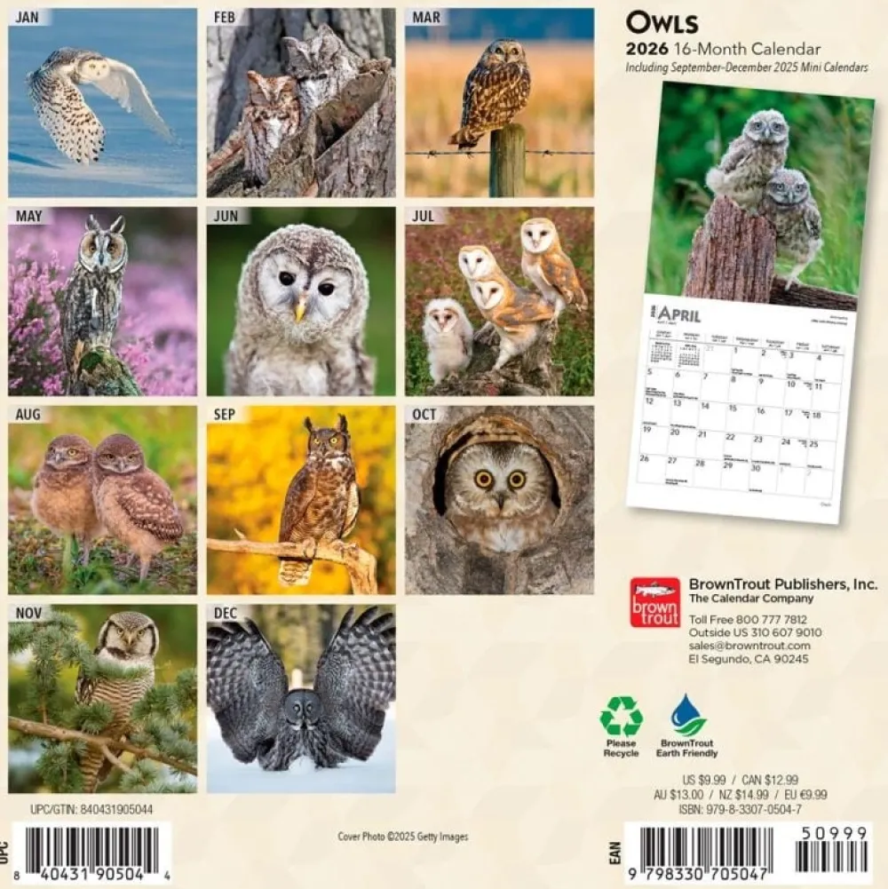 Calendars|Owls 2026 Mini Wall Calendar