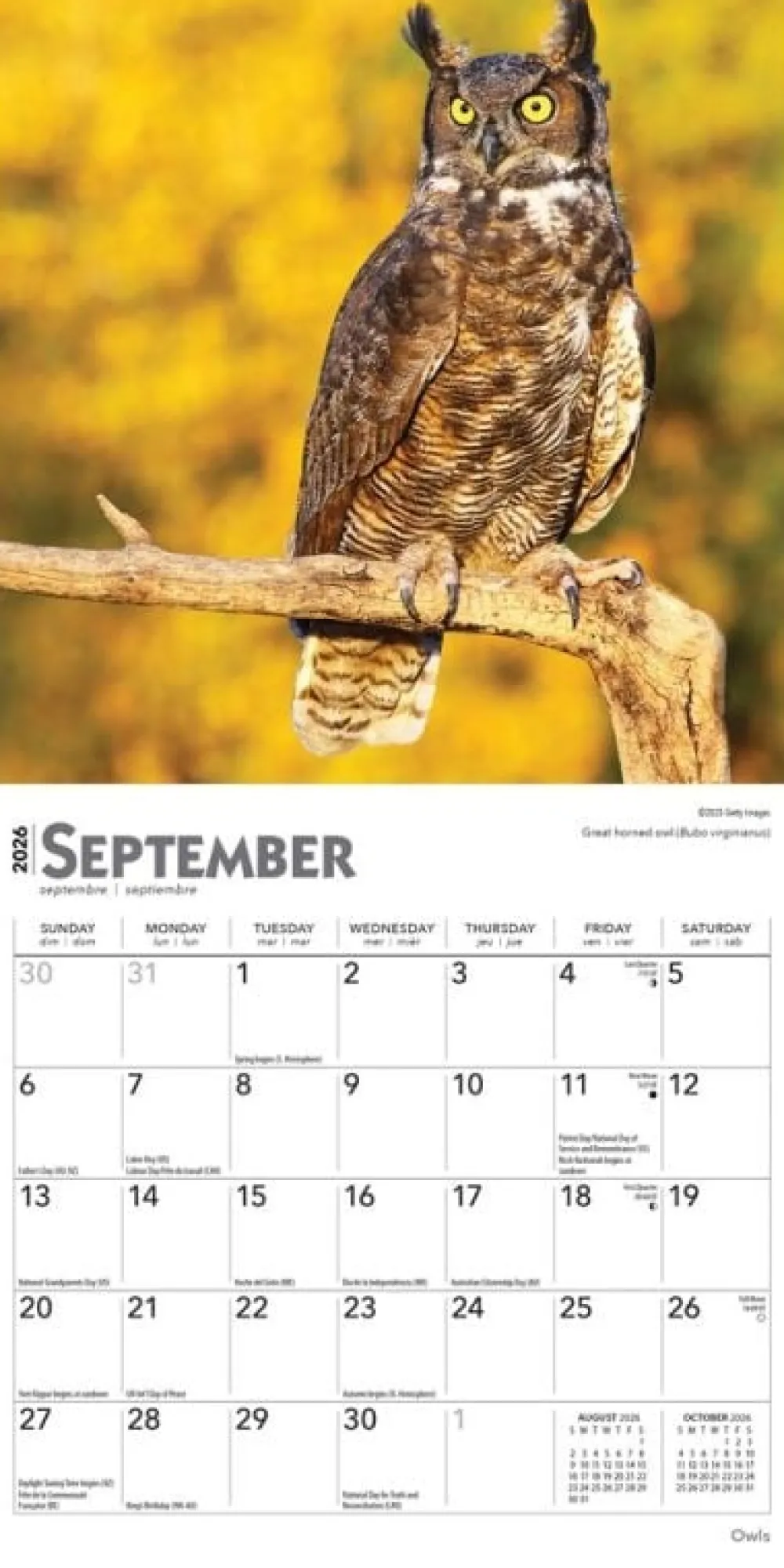 Calendars|Owls 2026 Mini Wall Calendar