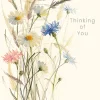 Greeting Cards|Oxeye Daisies Thinking of You Card