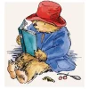 Greeting Cards|Paddington Reads Greeting Card