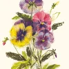 Greeting Cards|Pansies Get Well Soon Card