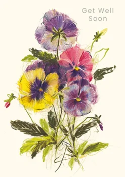 Greeting Cards|Pansies Get Well Soon Card