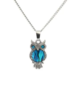 Necklaces & Pendants|Paua Shell Ornate Owl Pendant Necklace