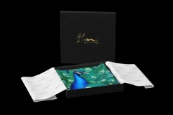Scarves & Wraps|Peacock Silk Heritage Collection Scarf