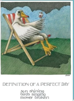 Greeting Cards|Perfect Day Duck Greeting Card
