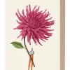 Greeting Cards|Pink Dahlia Greeting Card