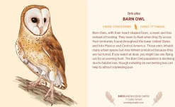 Pomegranate Games & Puzzles|Birds Knowledge Cards