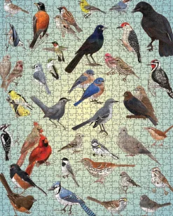 Pomegranate Games & Puzzles|Casey Girard: Backyard Birds 1000-Piece Puzzle