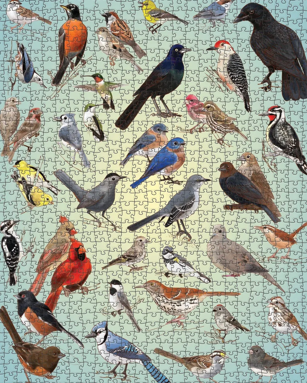 Pomegranate Games & Puzzles|Casey Girard: Backyard Birds 1000-Piece Puzzle