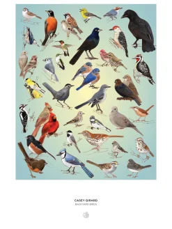 Pomegranate Games & Puzzles|Casey Girard: Backyard Birds 1000-Piece Puzzle