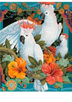Pomegranate Boxed Cards|David Galchutt: Celebration Boxed Notecard Assortment
